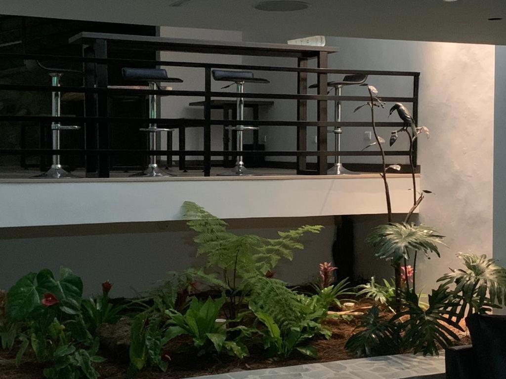 Apartahotel La Arboleda Hc マニサレス エクステリア 写真